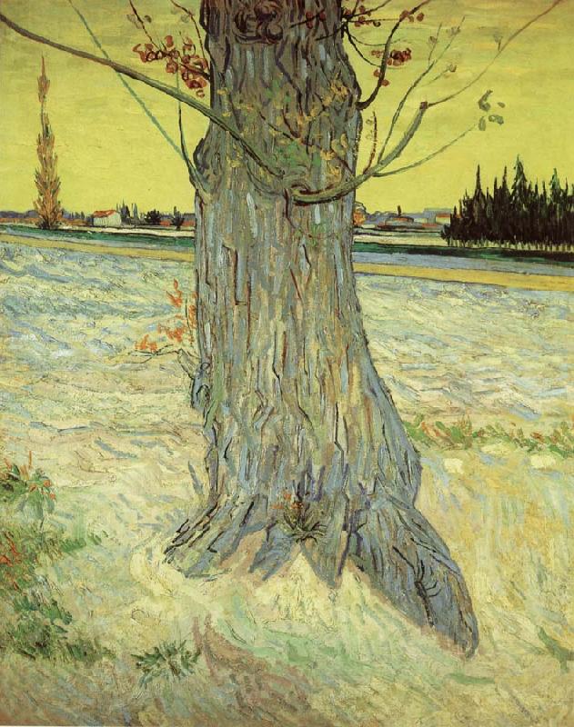 Vincent Van Gogh The Old yew tree France oil painting art